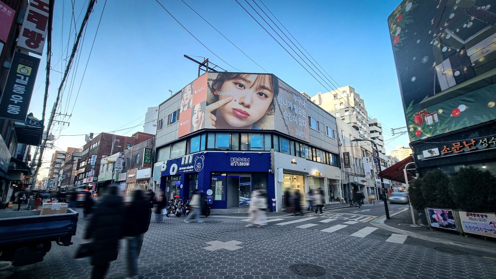 Gangnam-eonni Campaign