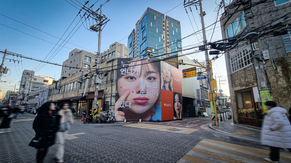 Gangnam-eonni Campaign