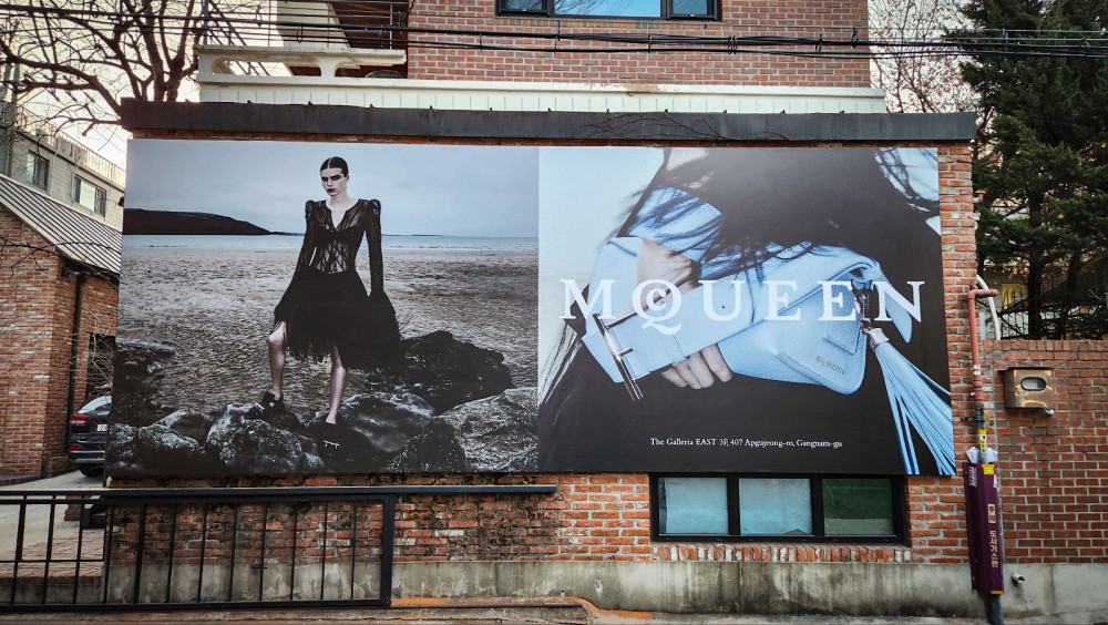 Alexander McQueen Campaign(2)